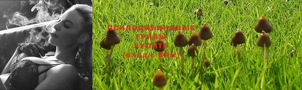 стаф Балабаново