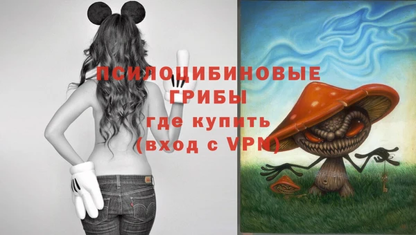 стаф Балабаново