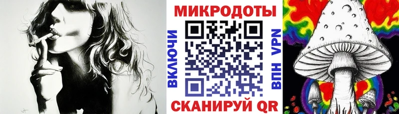 купить закладку  Светлогорск  Галлюциногенные грибы GOLDEN TEACHER 