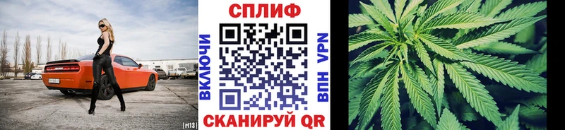Канабис OG Kush  закладки  Светлогорск 